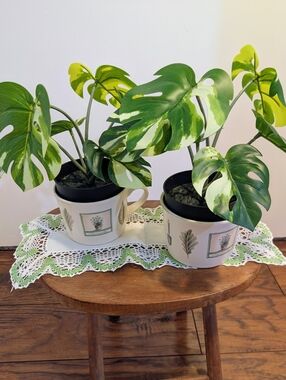 Set of 2 Pfaltzgraff Naturewood Tea/Coffee Cups Botanicals, Made In USA ~ EUC